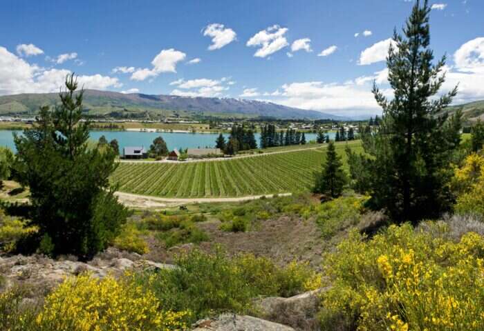 sustainable wineries