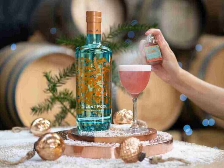 Photo of The Mulled Wine Sour by Silent Pool Gin