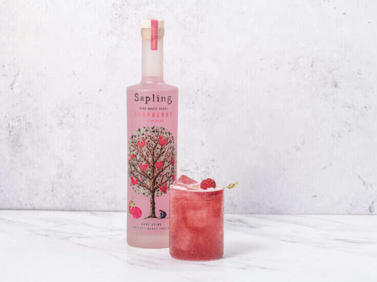 The Raspberry and Hibiscus Spritz by Sapling Spirits