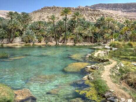 A Wild Swimming Adventure Across Oman