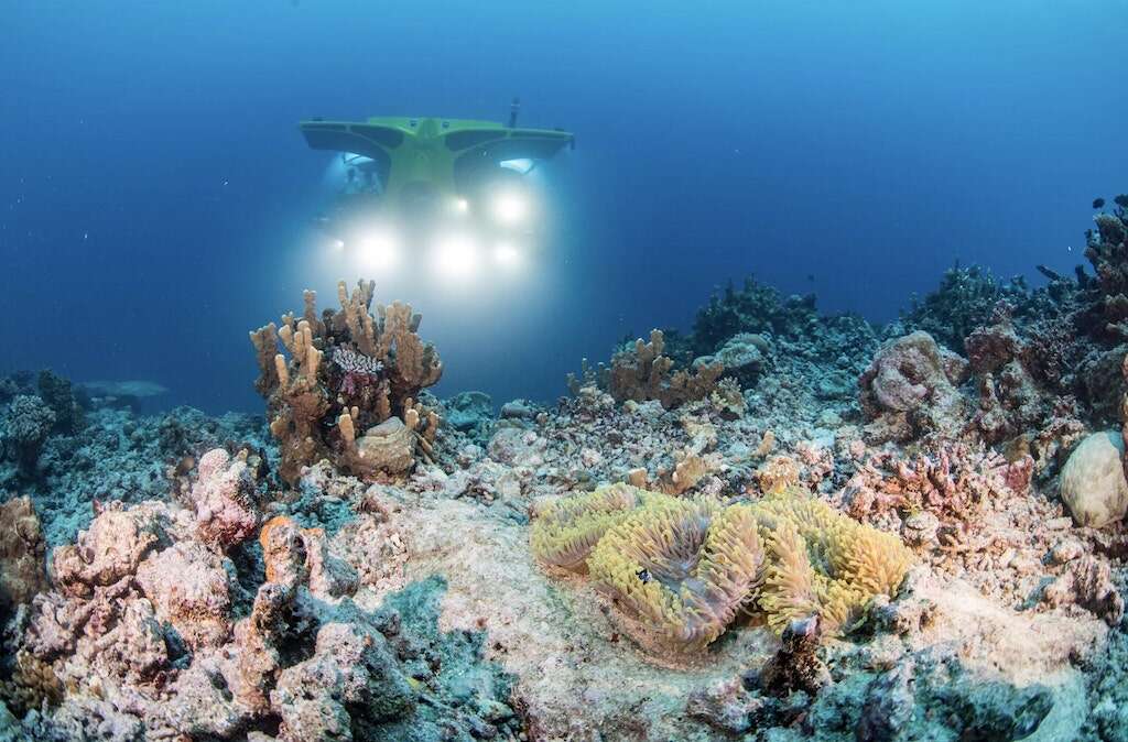 submersible coral reef
